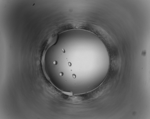 X0000097980221200803241307