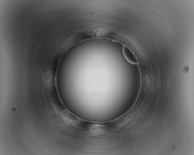 X0000097980222200803241307