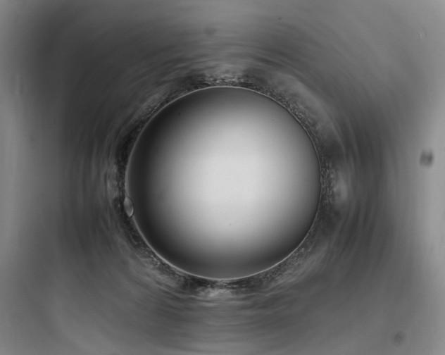 X0000097980224200803241307