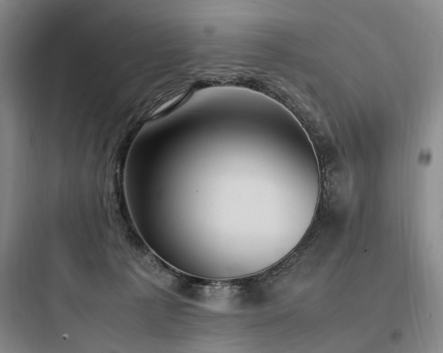 X0000097980225200803241307