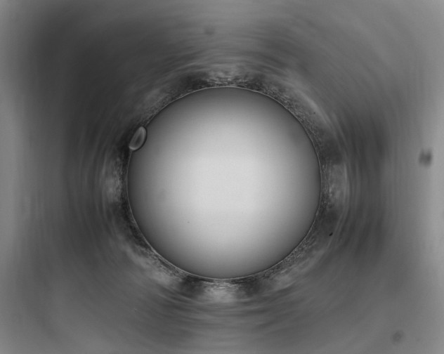 X0000097980226200803241307