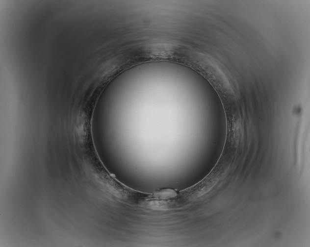 X0000097980228200803241307