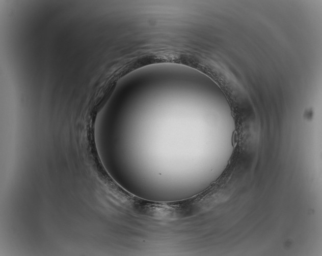 X0000097980229200803241307