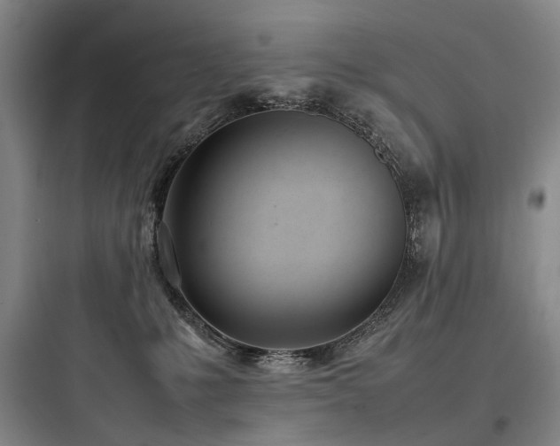 X0000097980231200803241307