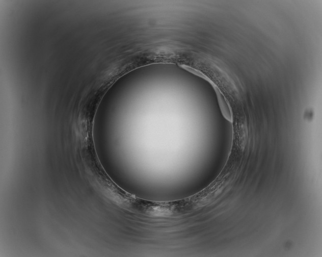 X0000097980232200803241307