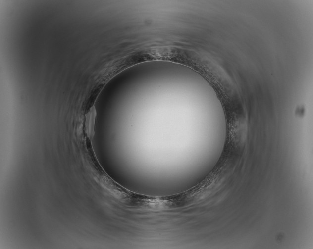X0000097980233200803241307