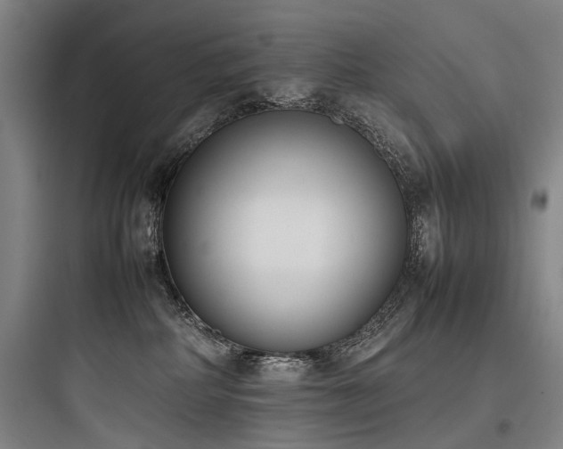 X0000097980234200803241307