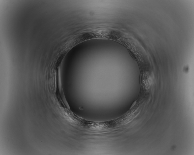 X0000097980235200803241307