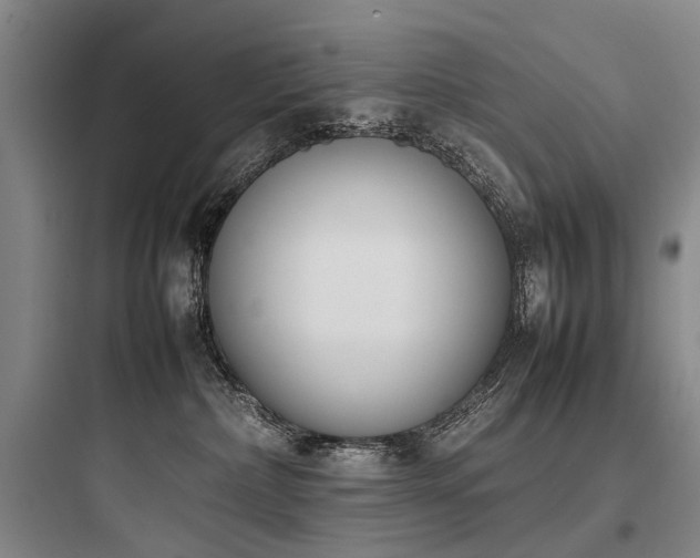 X0000097980236200803241307
