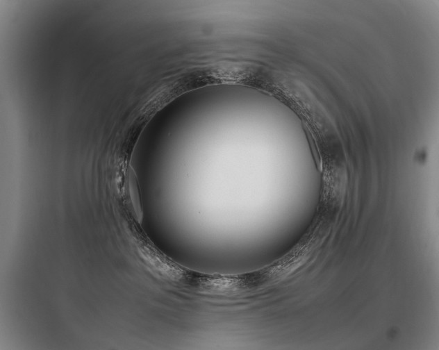X0000097980237200803241307