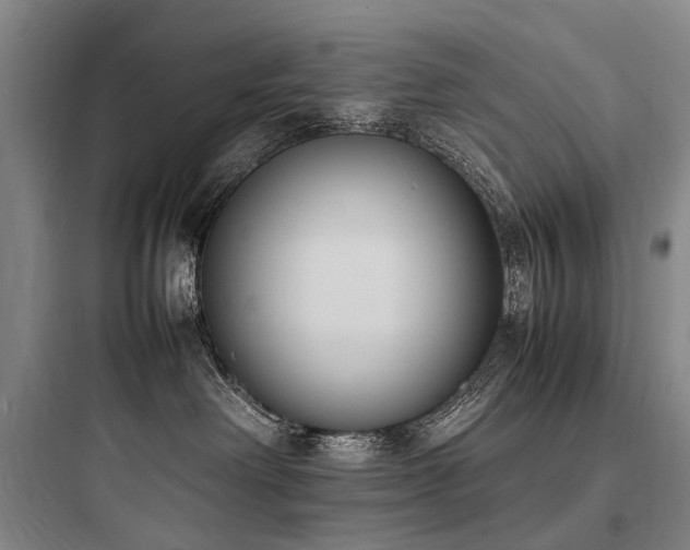 X0000097980238200803241307