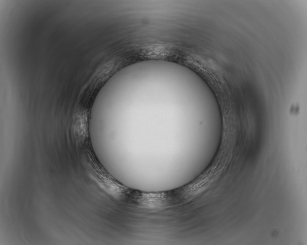 X0000097980240200803241307