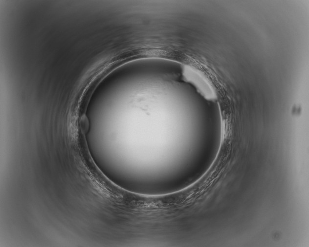 X0000097980243200803241306