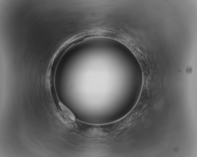 X0000097980244200803241306