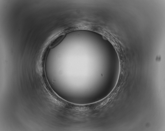 X0000097980245200803241306