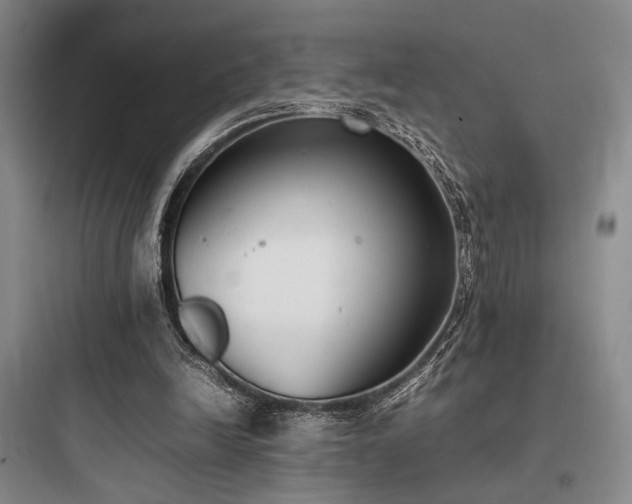 X0000097980246200803241306