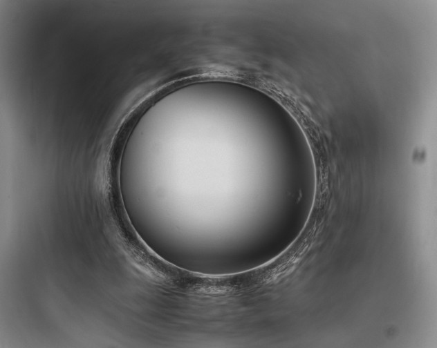 X0000097980247200803241306