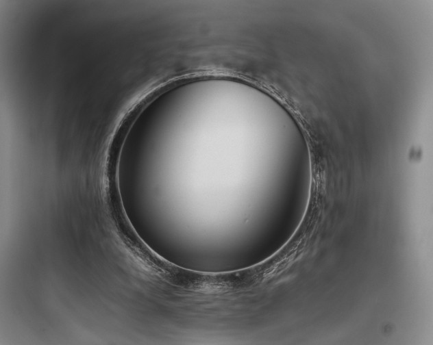 X0000097980248200803241306