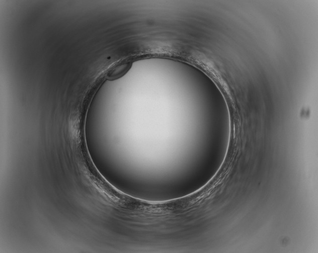 X0000097980249200803241306