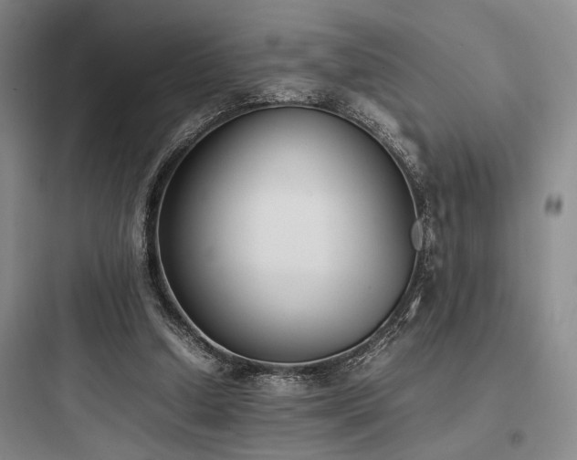 X0000097980250200803241306