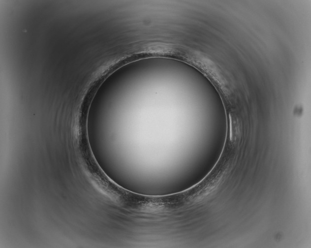 X0000097980252200803241306