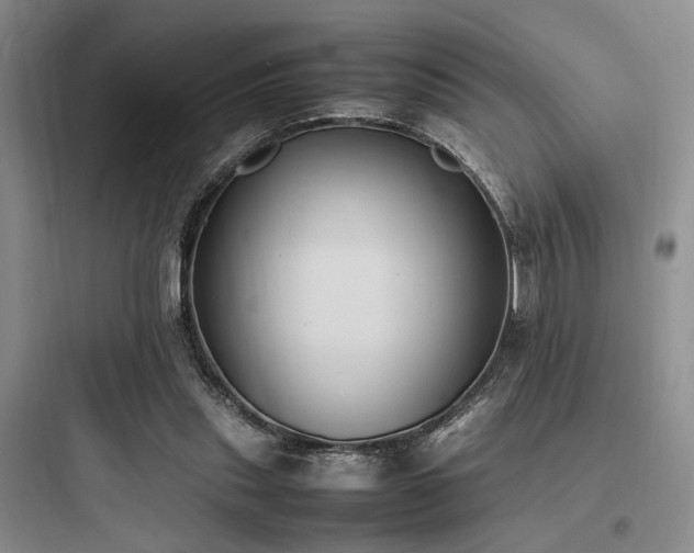 X0000097980253200803241306