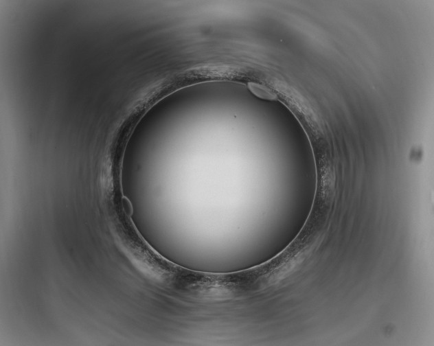 X0000097980254200803241306