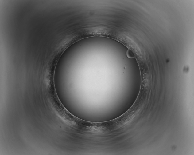 X0000097980255200803241306