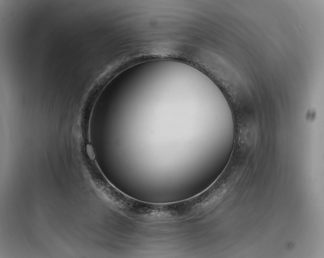 X0000097980256200803241306