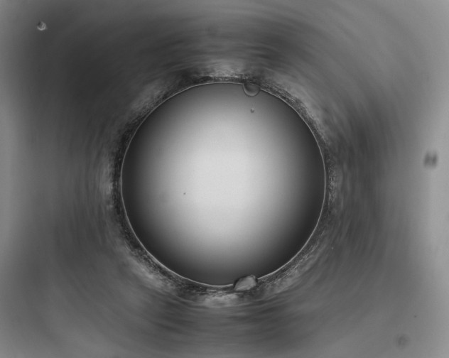 X0000097980257200803241306