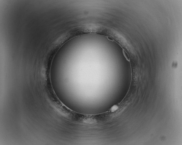 X0000097980258200803241306