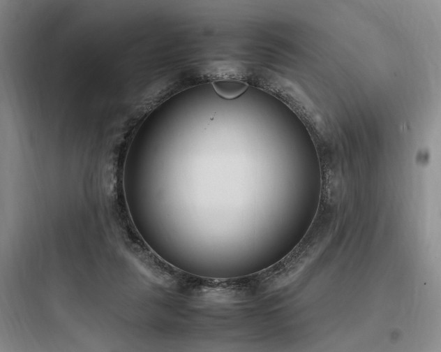 X0000097980259200803241306