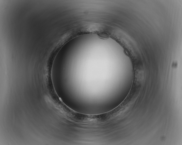 X0000097980260200803241306