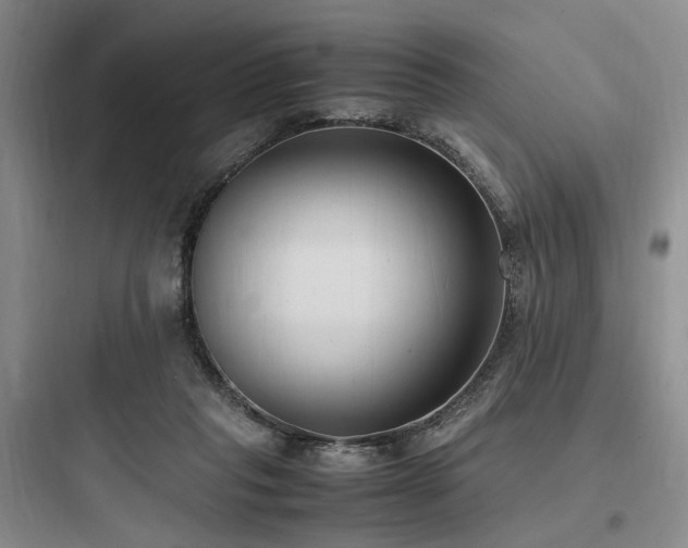 X0000097980261200803241306