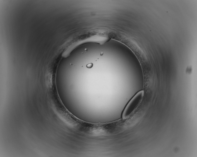 X0000097980262200803241306