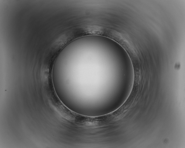 X0000097980263200803241306