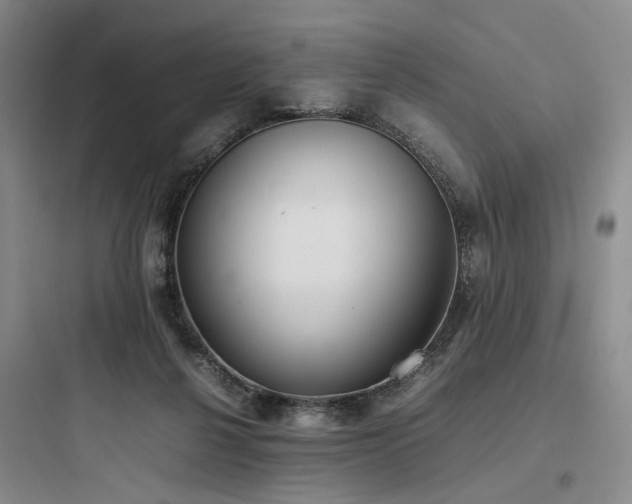 X0000097980264200803241306