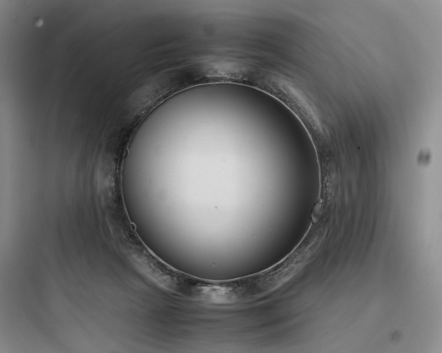 X0000097980265200803241306
