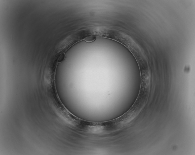 X0000097980266200803241306