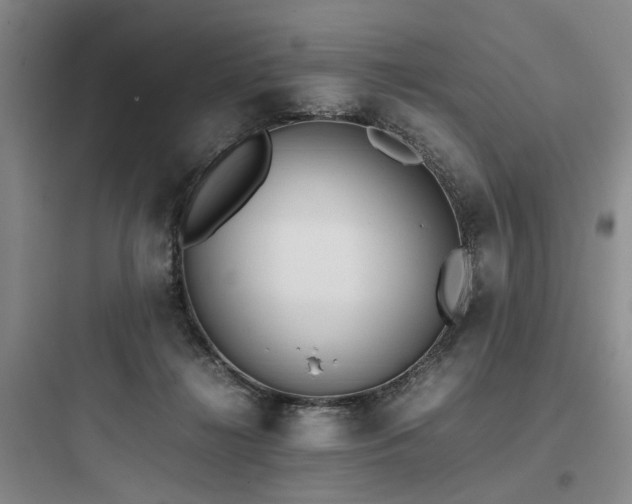 X0000097980268200803241306