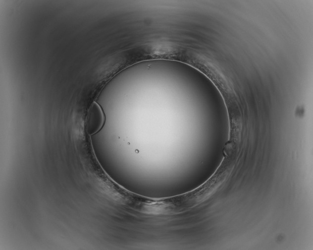 X0000097980269200803241306