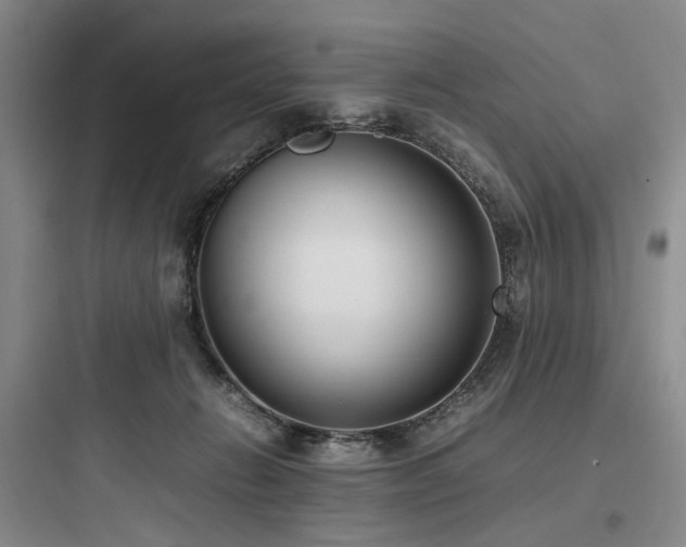X0000097980270200803241306