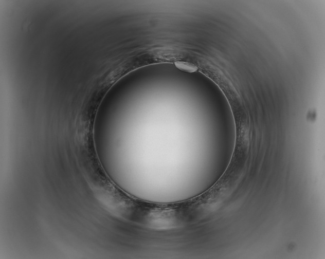 X0000097980271200803241306