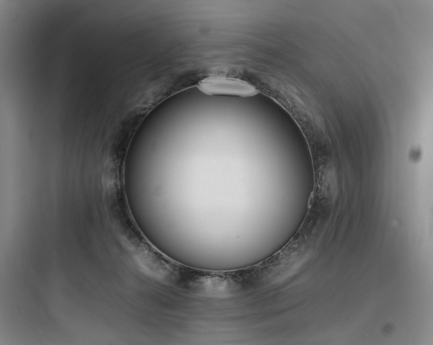 X0000097980272200803241306