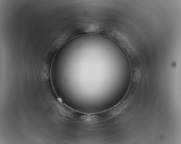 X0000097980273200803241306