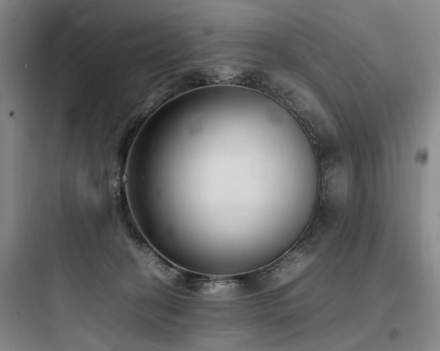 X0000097980274200803241306