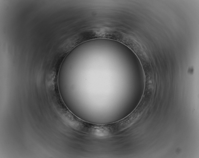 X0000097980275200803241306