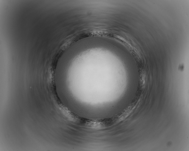 X0000097980276200803241306