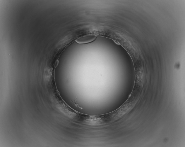 X0000097980278200803241306