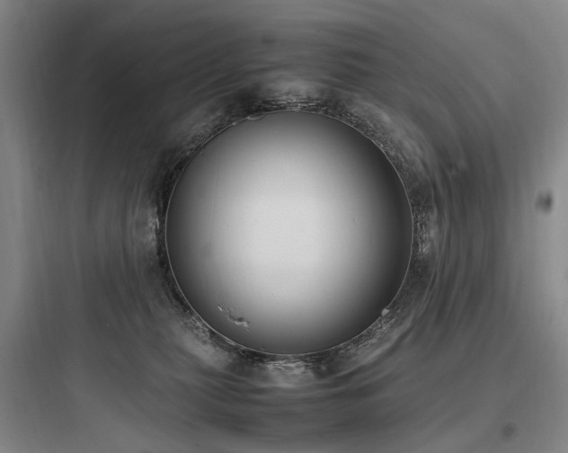 X0000097980279200803241306